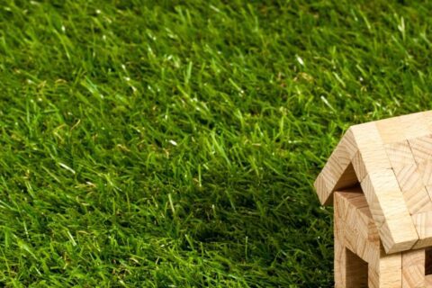 Artificial Grass near me Arnold NG5